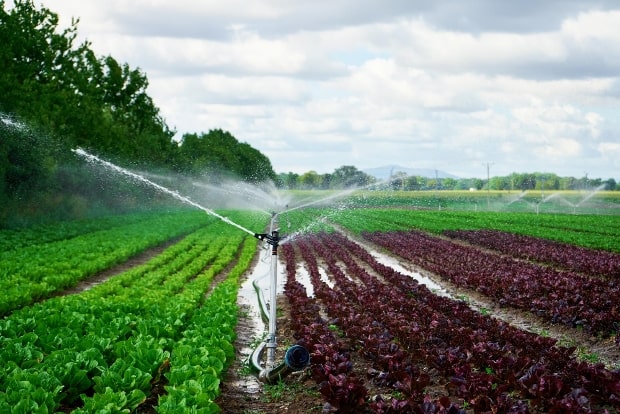 Efficient Water Management: The Key to Sustainable Agriculture
